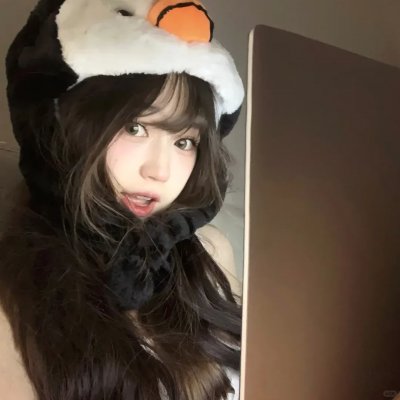 蒙哥一家的故事